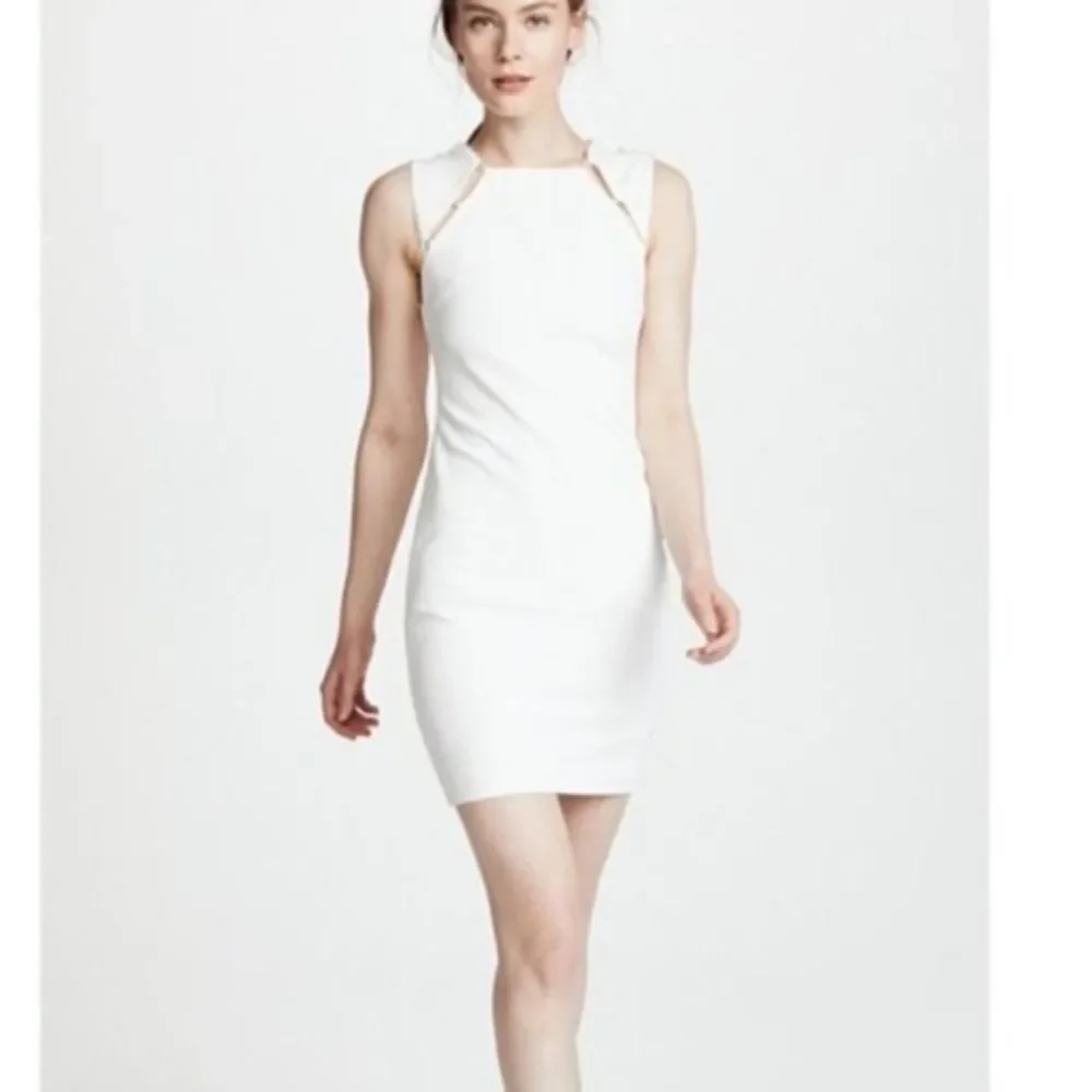 Alice + Olivia Ivory Sheath Dress with Silver Chain Trim - Picture 3 of 8